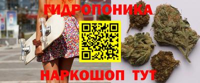 соль ск Славгород