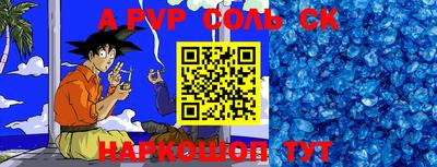 соль ск Славгород