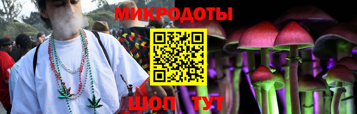 Новороссийск  Псилоцибиновые грибы Psilocybine cubensis  Вход с VPN 