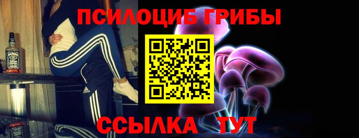 Галлюциногенные грибы GOLDEN TEACHER Новороссийск