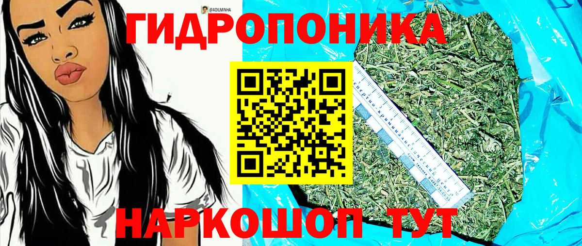 Каннабис ГИДРОПОН Новороссийск
